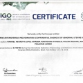Ampliar imagem: certificate 11