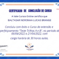Ampliar imagem: certificate 13