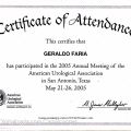 Ampliar imagem: certificate 62