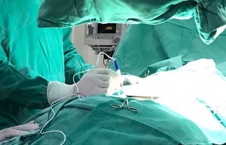 Fabricio Zacarias Paes-5