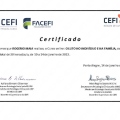 Ampliar imagem: certificate 9