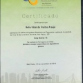 Ampliar imagem: certificate 9