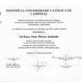 Ampliar imagem: certificate 17