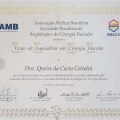 Ampliar imagem: certificate 3