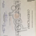 Ampliar imagem: certificate 4