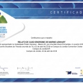 Ampliar imagem: certificate 32