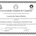 Ampliar imagem: certificate 4