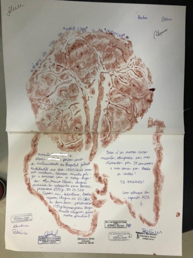 Laís Borges Da Costa-1