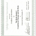 Ampliar imagem: certificate 12