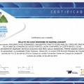 Ampliar imagem: certificate 31