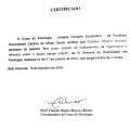 Ampliar imagem: certificate 7