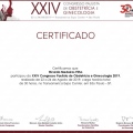 Ampliar imagem: certificate 1