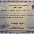 Ampliar imagem: certificate 5