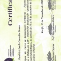 Ampliar imagem: certificate 4