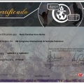Ampliar imagem: certificate 15
