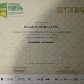 Ampliar imagem: certificate 13