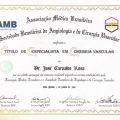 Ampliar imagem: certificate 4