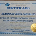 Ampliar imagem: certificate 5