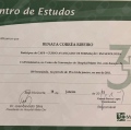 Ampliar imagem: certificate 6