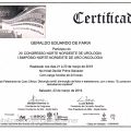 Ampliar imagem: certificate 306