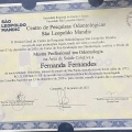 Ampliar imagem: certificate 4