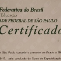 Ampliar imagem: certificate 1