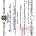 Ampliar imagem: certificate 4