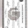 Ampliar imagem: certificate 2