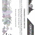 Ampliar imagem: certificate 5