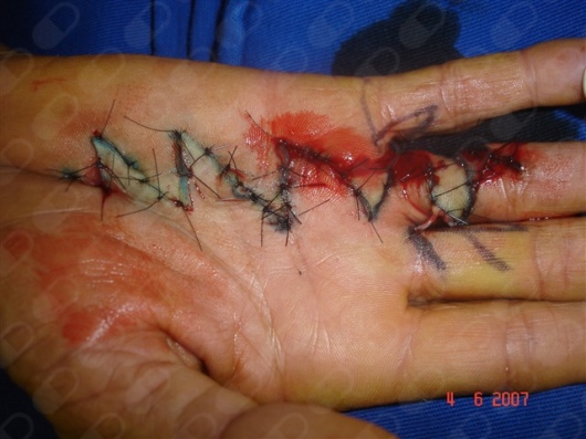 Samir Haikal Junior-30