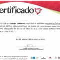 Ampliar imagem: certificate 9