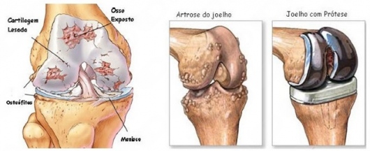 Vitor Gustavo De Oliveira-3