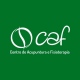 CAF  Centro de Acupuntura e Fisioterapia LTDA