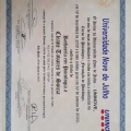 Ampliar imagem: certificate 5
