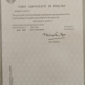 Ampliar imagem: certificate 19