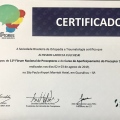 Ampliar imagem: certificate 20