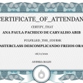 Ampliar imagem: certificate 7