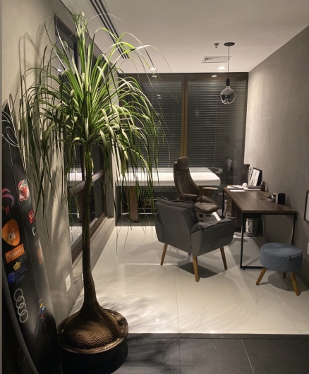 Franz Homero P Burini-4