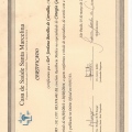 Ampliar imagem: certificate 13