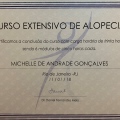 Ampliar imagem: certificate 9