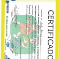 Ampliar imagem: certificate 17