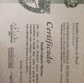 Ampliar imagem: certificate 3