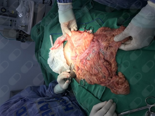 Hailton Jose Da Silva Sandes-1