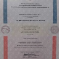 Ampliar imagem: certificate 4