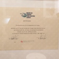 Ampliar imagem: certificate 4