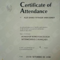 Ampliar imagem: certificate 16