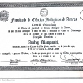 Ampliar imagem: certificate 3