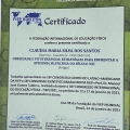 Ampliar imagem: certificate 3