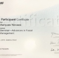 Ampliar imagem: certificate 6