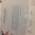 Ampliar imagem: certificate 19